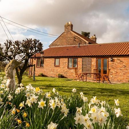 Morndyke Cottage Thirsk Εξωτερικό φωτογραφία