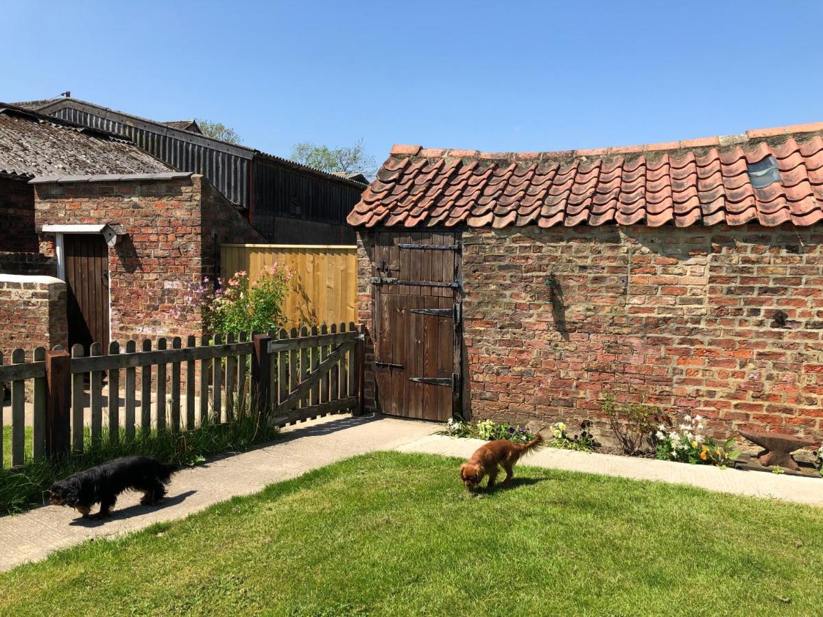 Morndyke Cottage Thirsk Εξωτερικό φωτογραφία